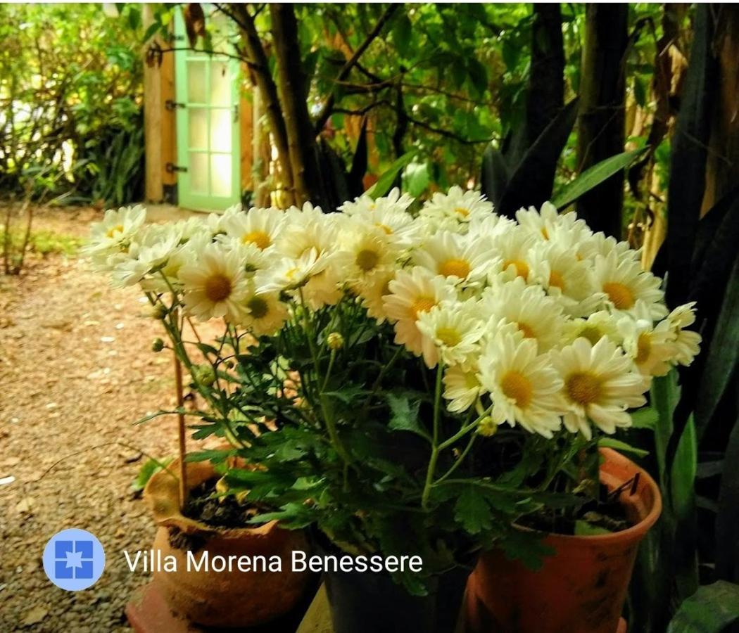 Villa Morena Benessere Florianopolis Exterior photo